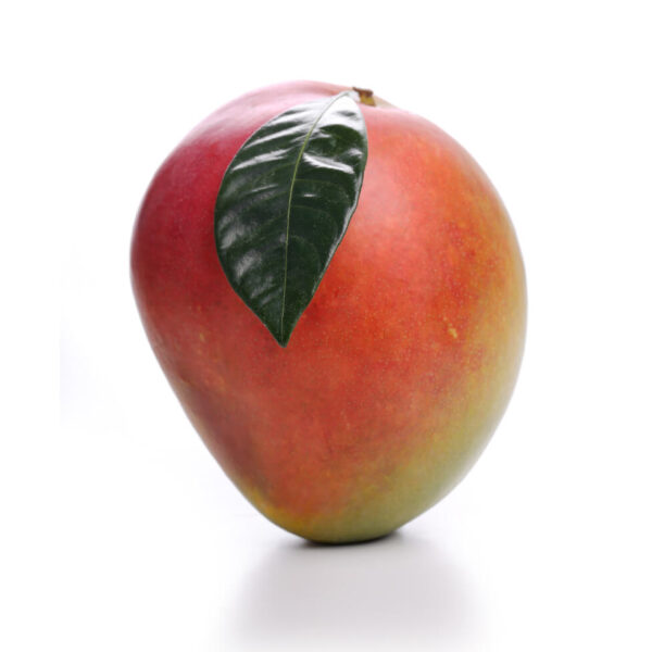 Fresh Mango 1Kg
